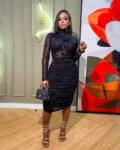 Black Sheer Detail Ruched Bottom Dress